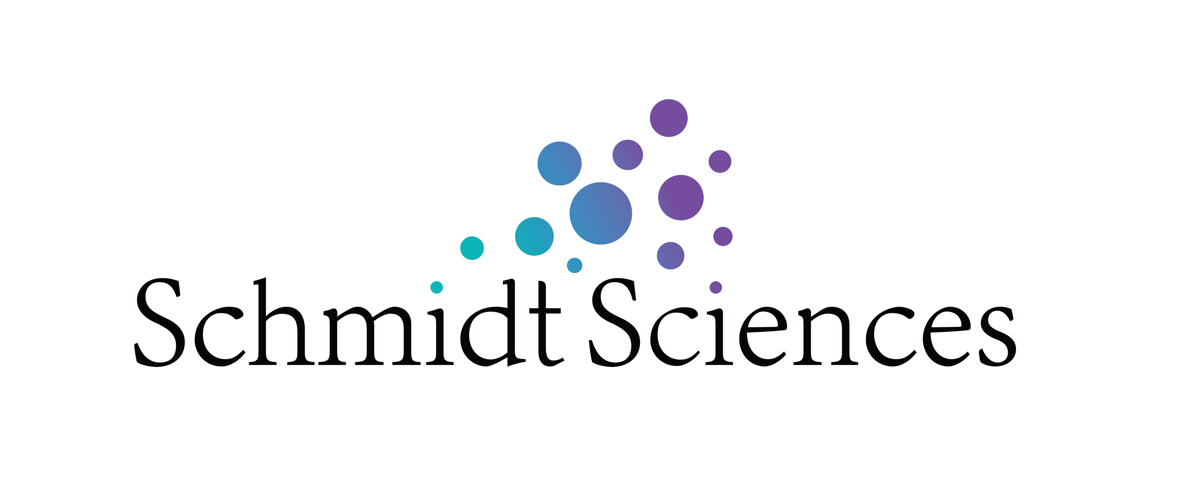 Schmidt Sciences Logo